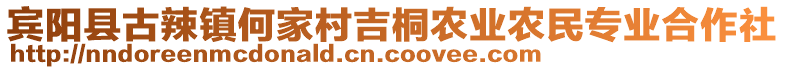 賓陽(yáng)縣古辣鎮(zhèn)何家村吉桐農(nóng)業(yè)農(nóng)民專業(yè)合作社