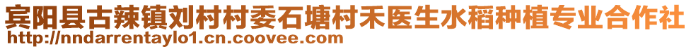 賓陽縣古辣鎮(zhèn)劉村村委石塘村禾醫(yī)生水稻種植專業(yè)合作社