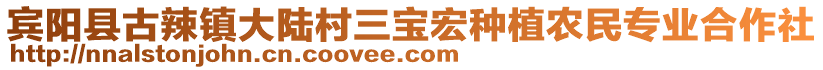賓陽縣古辣鎮(zhèn)大陸村三寶宏種植農(nóng)民專業(yè)合作社