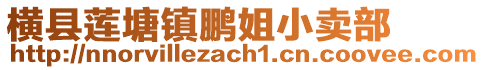 橫縣蓮塘鎮(zhèn)鵬姐小賣部