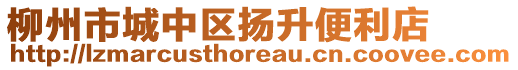 柳州市城中區(qū)揚(yáng)升便利店