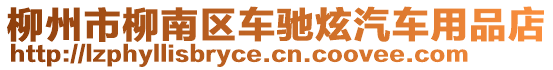 柳州市柳南區(qū)車馳炫汽車用品店