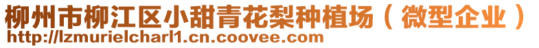 柳州市柳江区小甜青花梨种植场（微型企业）