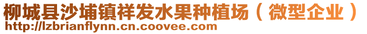 柳城縣沙埔鎮(zhèn)祥發(fā)水果種植場(chǎng)（微型企業(yè)）