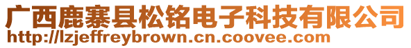 廣西鹿寨縣松銘電子科技有限公司