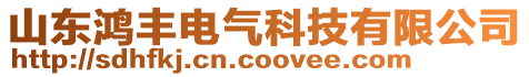 山東鴻豐電氣科技有限公司