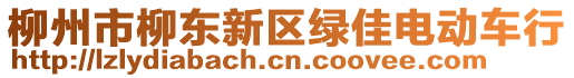 柳州市柳东新区绿佳电动车行