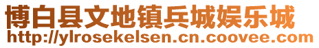 博白縣文地鎮(zhèn)兵城娛樂城