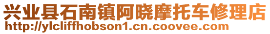 興業(yè)縣石南鎮(zhèn)阿曉摩托車修理店