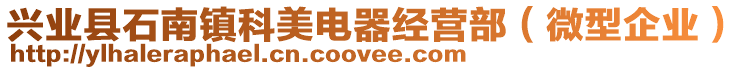 興業(yè)縣石南鎮(zhèn)科美電器經(jīng)營(yíng)部（微型企業(yè)）