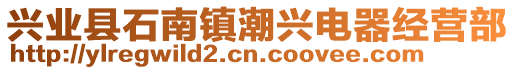 興業(yè)縣石南鎮(zhèn)潮興電器經(jīng)營部