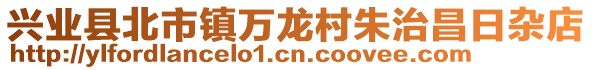 興業(yè)縣北市鎮(zhèn)萬龍村朱治昌日雜店