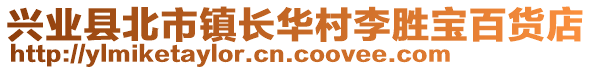 興業(yè)縣北市鎮(zhèn)長華村李勝寶百貨店