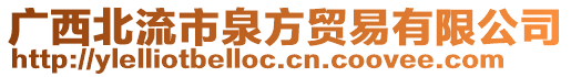 廣西北流市泉方貿(mào)易有限公司