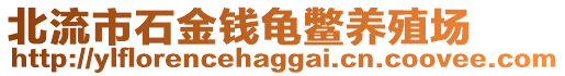 北流市石金錢龜鱉養(yǎng)殖場