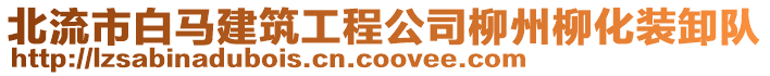 北流市白馬建筑工程公司柳州柳化裝卸隊