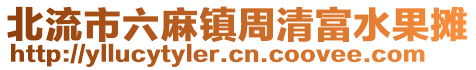 北流市六麻鎮(zhèn)周清富水果攤