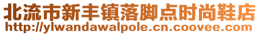 北流市新豐鎮落腳點時尚鞋店