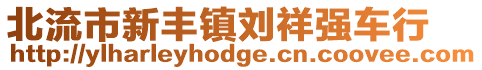 北流市新豐鎮劉祥強車行