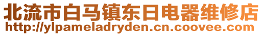 北流市白馬鎮(zhèn)東日電器維修店