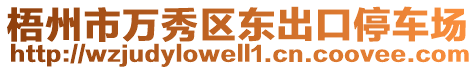 梧州市萬秀區(qū)東出口停車場