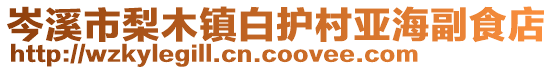 岑溪市梨木鎮(zhèn)白護村亞海副食店