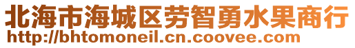 北海市海城區(qū)勞智勇水果商行