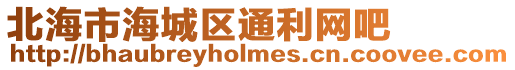 北海市海城區通利網吧