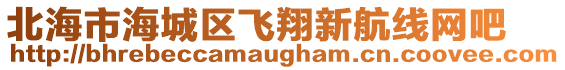 北海市海城區飛翔新航線網吧