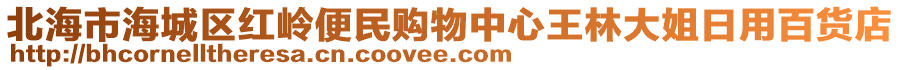 北海市海城區(qū)紅嶺便民購物中心王林大姐日用百貨店