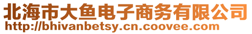 北海市大魚電子商務有限公司