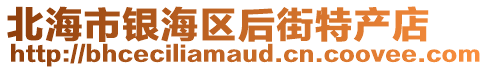 北海市銀海區后街特產店