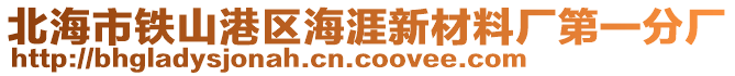 北海市铁山港区海涯新材料厂第一分厂