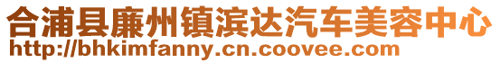 合浦县廉州镇滨达汽车美容中心