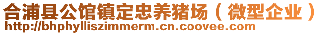 合浦縣公館鎮(zhèn)定忠養(yǎng)豬場（微型企業(yè)）