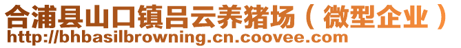 合浦縣山口鎮(zhèn)呂云養(yǎng)豬場（微型企業(yè)）