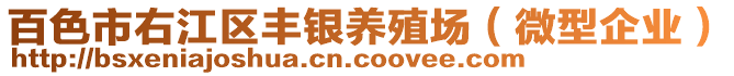 百色市右江區(qū)豐銀養(yǎng)殖場（微型企業(yè)）