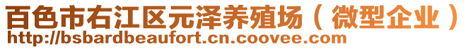 百色市右江區(qū)元澤養(yǎng)殖場（微型企業(yè)）