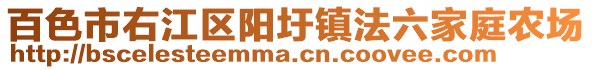 百色市右江區(qū)陽(yáng)圩鎮(zhèn)法六家庭農(nóng)場(chǎng)