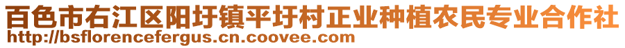 百色市右江區(qū)陽(yáng)圩鎮(zhèn)平圩村正業(yè)種植農(nóng)民專業(yè)合作社