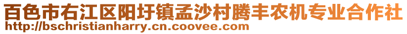 百色市右江區(qū)陽圩鎮(zhèn)孟沙村騰豐農(nóng)機專業(yè)合作社