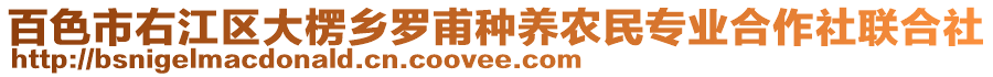 百色市右江區(qū)大楞鄉(xiāng)羅甫種養(yǎng)農(nóng)民專業(yè)合作社聯(lián)合社