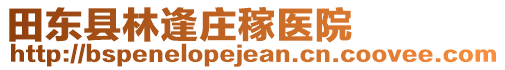 田東縣林逢莊稼醫(yī)院