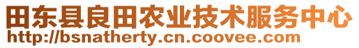 田東縣良田農(nóng)業(yè)技術(shù)服務(wù)中心