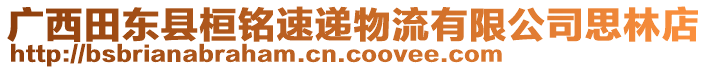 廣西田東縣桓銘速遞物流有限公司思林店