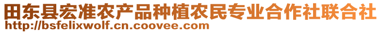 田東縣宏準(zhǔn)農(nóng)產(chǎn)品種植農(nóng)民專(zhuān)業(yè)合作社聯(lián)合社