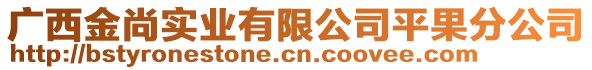 廣西金尚實(shí)業(yè)有限公司平果分公司