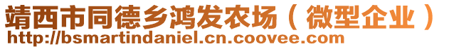 靖西市同德鄉(xiāng)鴻發(fā)農(nóng)場（微型企業(yè)）