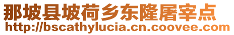 那坡縣坡荷鄉(xiāng)東隆屠宰點(diǎn)