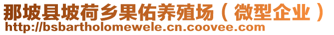 那坡縣坡荷鄉(xiāng)果佑養(yǎng)殖場（微型企業(yè)）